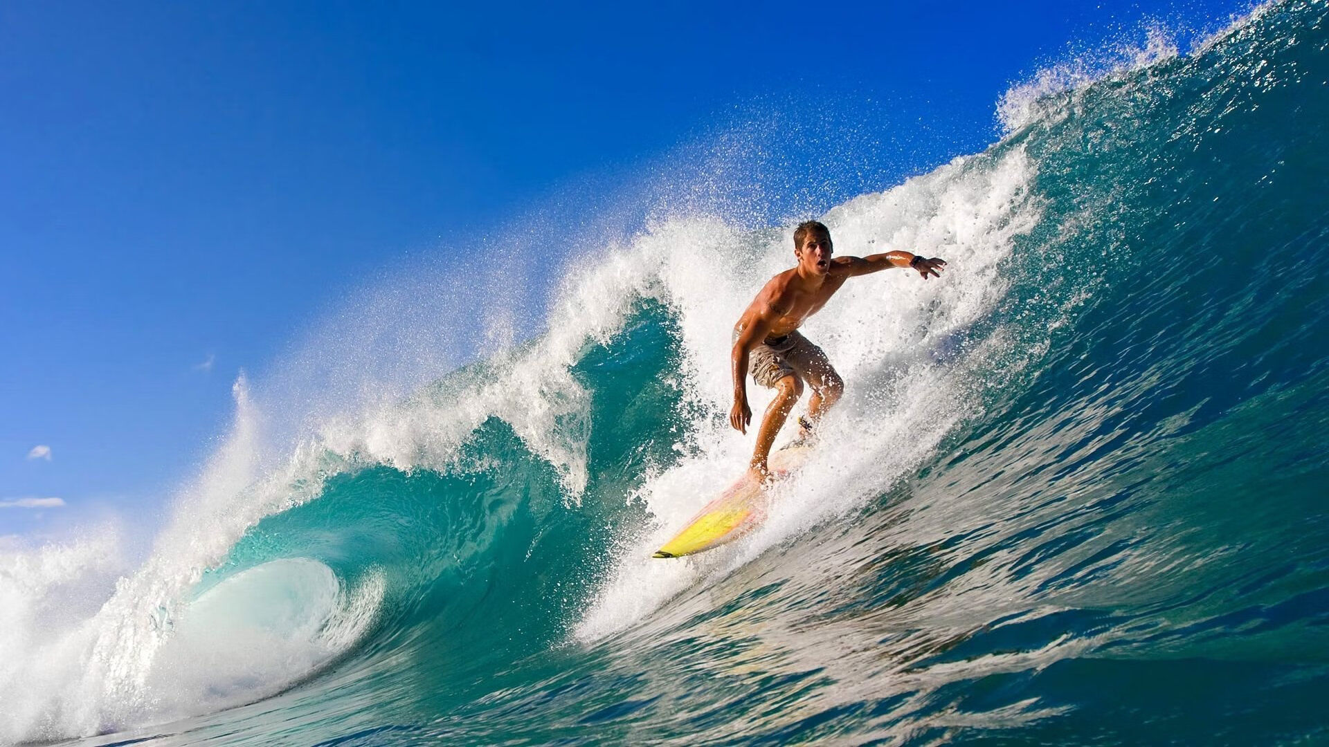 保加利亚遭遇挪威绝平,晋级前景渺茫,保加利亚这个国家怎么样