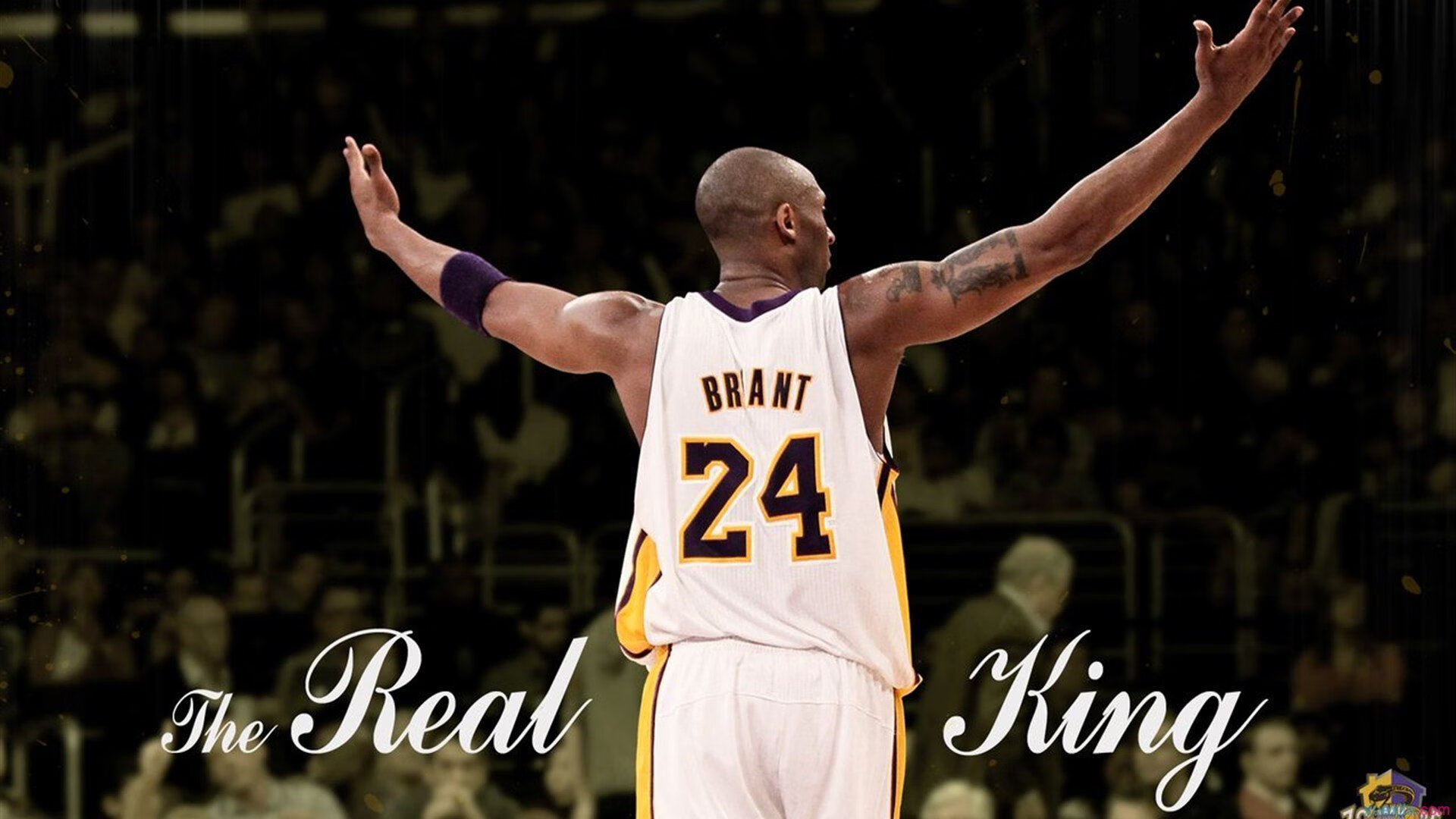 公牛队年轻球员挑战自我极限，公牛队选秀